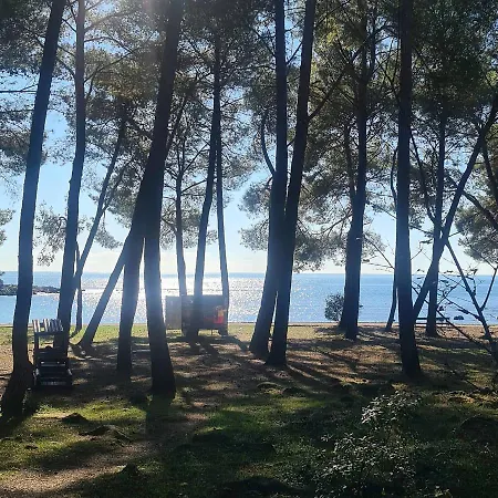Apartments Ivo Rovinj Croatia Exterior photo