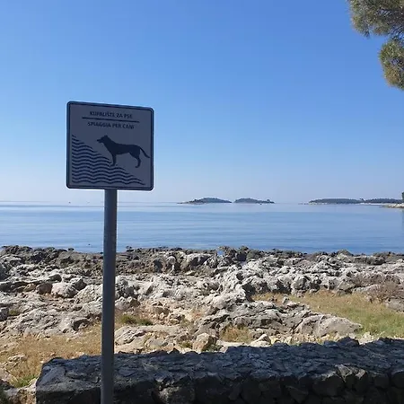 Apartments Ivo Rovinj Croatia Exterior photo