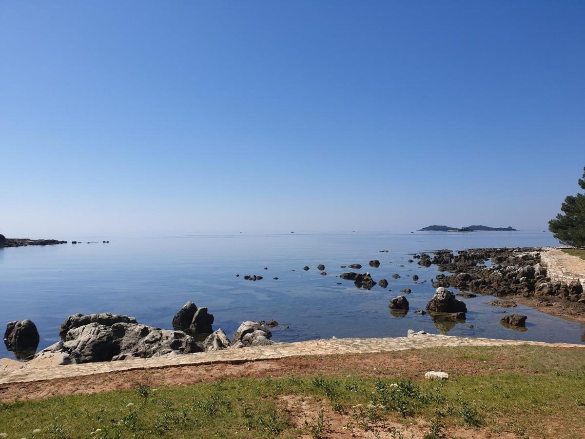 Ivo Croatia Rovinj