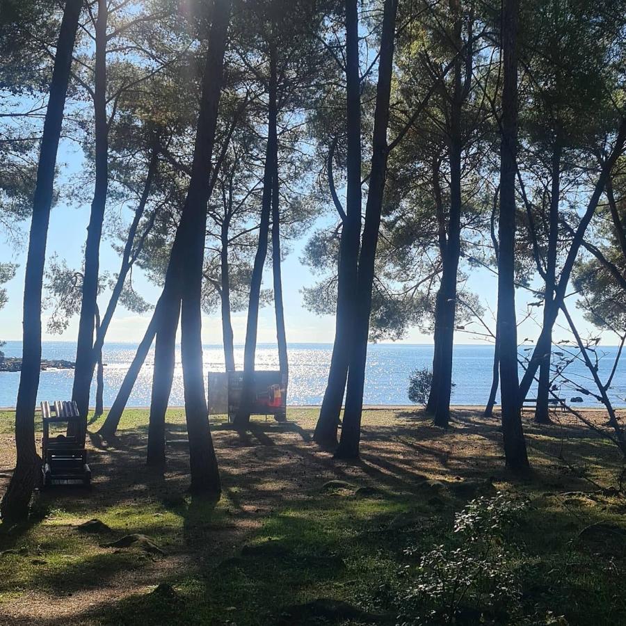 Ivo Croatia Apartman