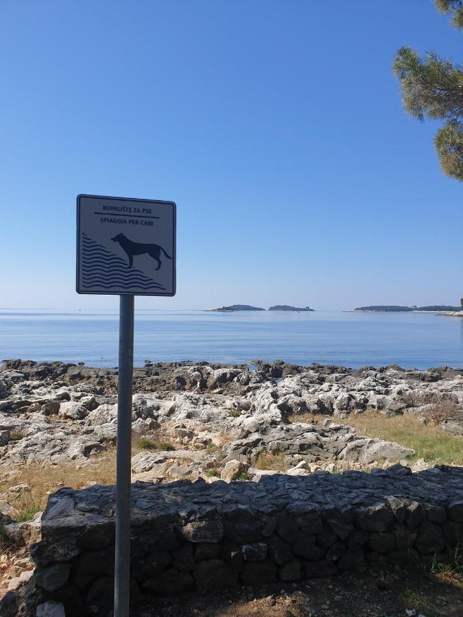 Apartman Ivo Croatia Rovinj